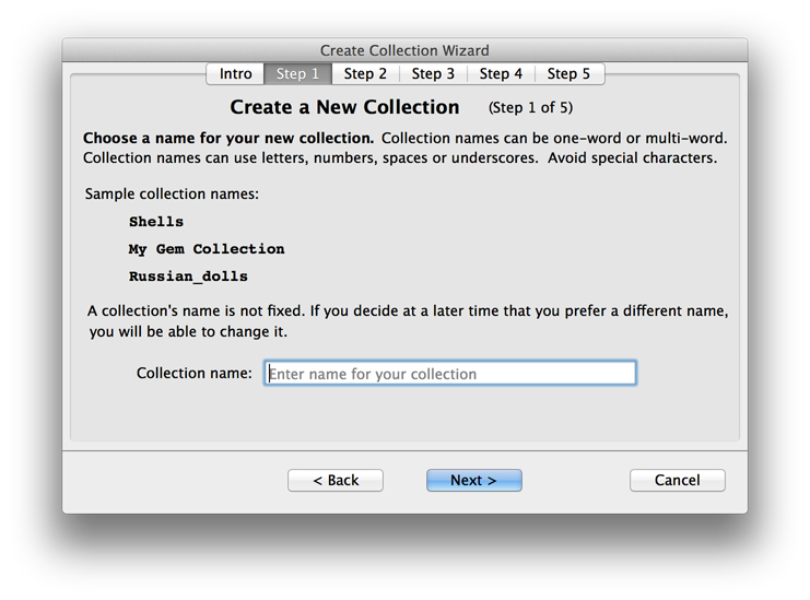 Wizard Step 1: Name your collection