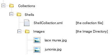 Image Directory location