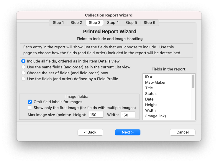 Report Wizard - Step 3